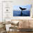 Brampt Whale Watching-107696430