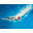 " Diving Jump "