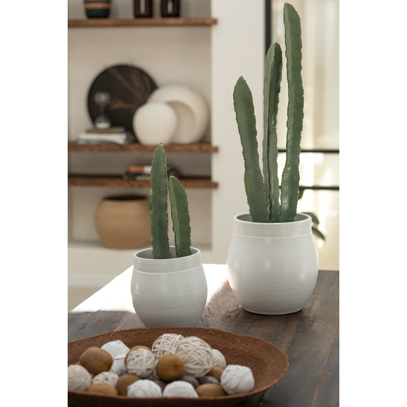 47 cm H Faux Cactus Plant in Plastic Pot