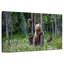Brampt Grizzly Bear Group