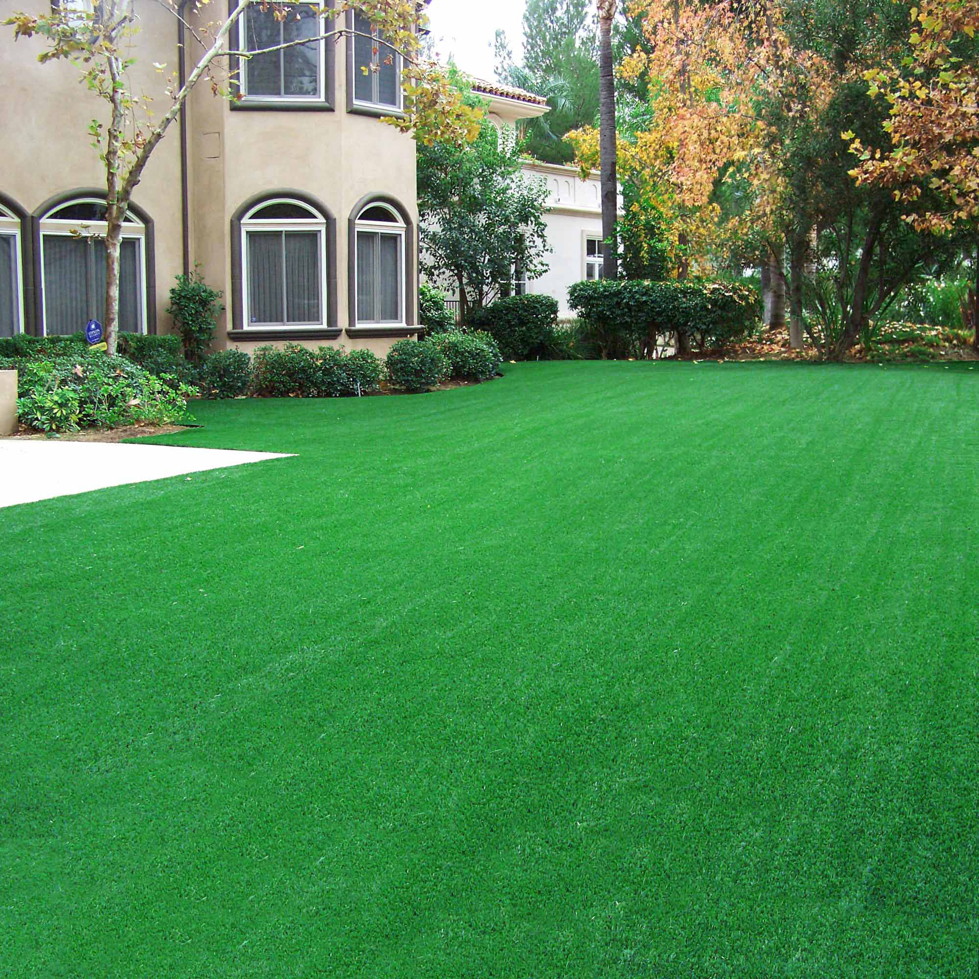 Artificial Grass Pet Turf & Reviews Wayfair