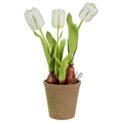 Tige de tulipes en pot real touch