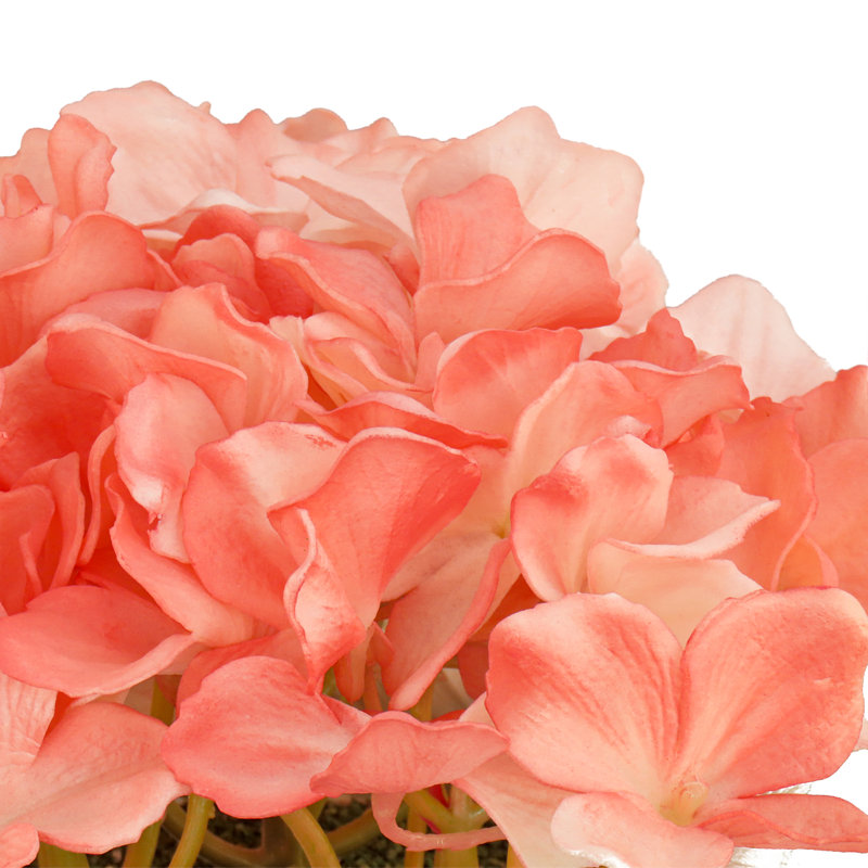 Bouquet d'hortensias dans un panier blanc, Corail