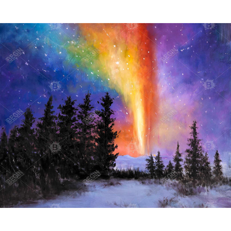 Aurora Borealis In The Forest Print On Canvas, H 48 po x l 60 po