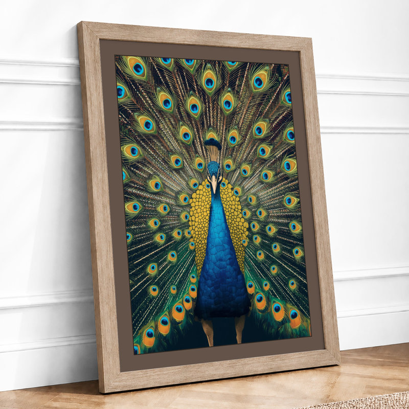 Peacock in Display Modern - Framed Print, A2 - 59.4 x 42.0 cm, Oak