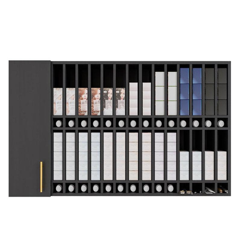 Armoire murale Rofessional