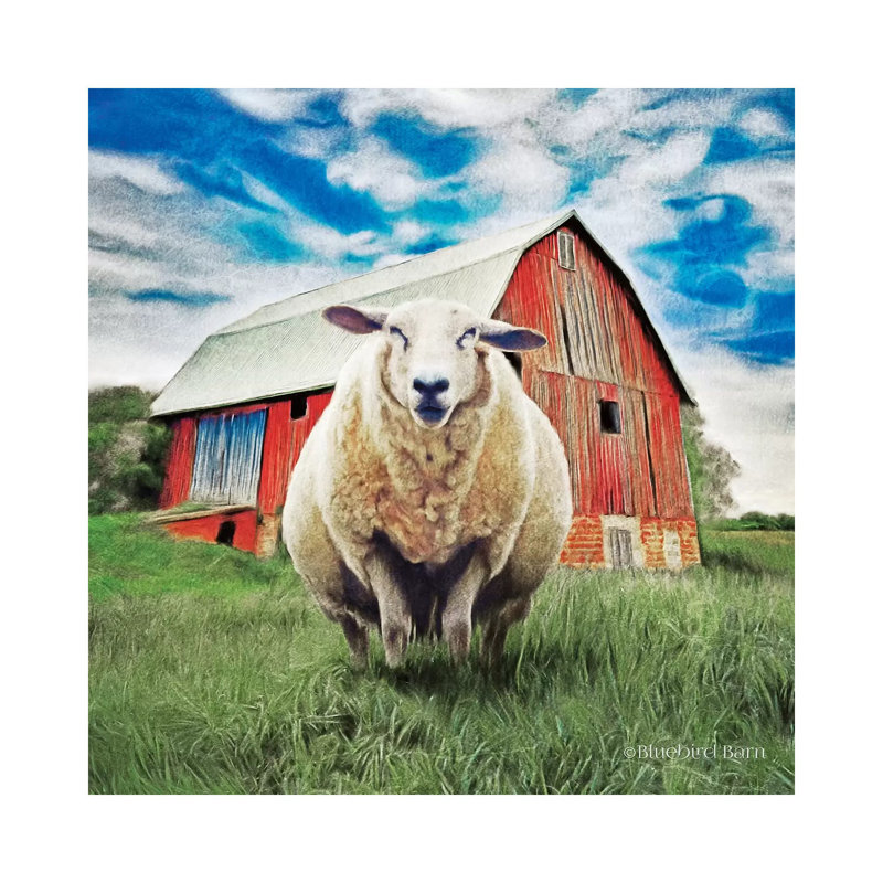 Sunday Afternoon Sheep Pose by Bluebird Barn - Wrapped Canvas Print, 30.48 cm H x 30.48 cm W