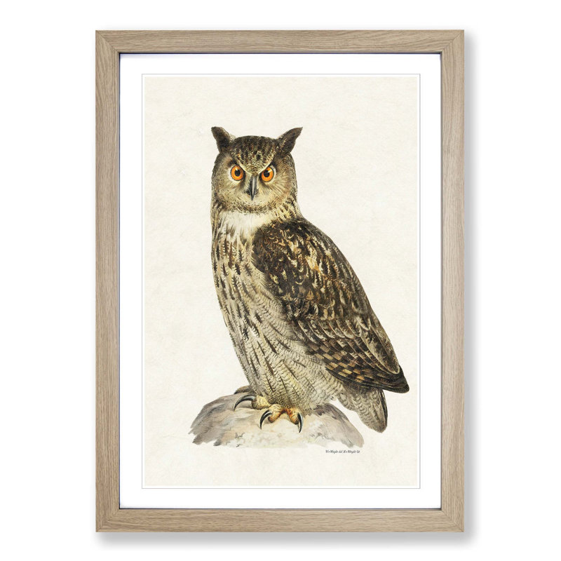 Eurasian Eagle-Owl by Von Wright - Picture Frame Painting Print, 36cm H x 27cm W x 2cm D, Oak Framed