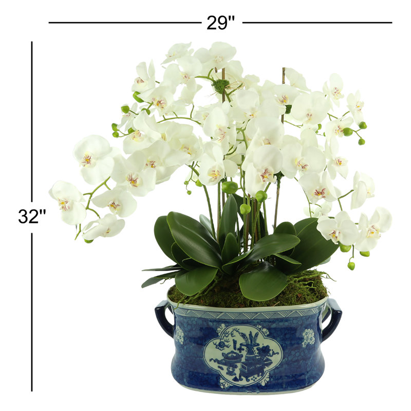 Orchid Arrangement in Decorative Ceramic Planter