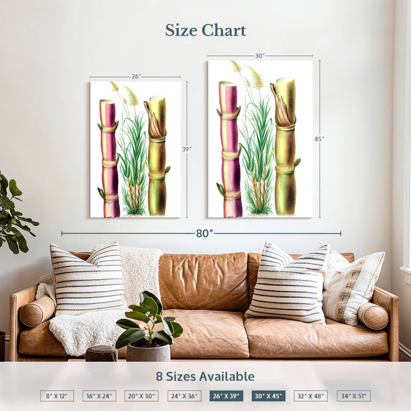 Harnek Sugarcane Stalks, 39" H x 26" W