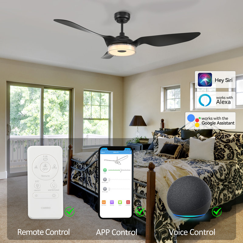 Amonii 56'' Ceiling Fan with LED Lights, Black