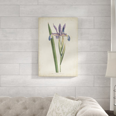 Lavender Curtis Botanicals III - Painting Print