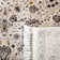 Bristol Point Performance Oriental Rug