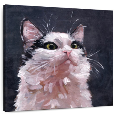 Brampt Kitty
