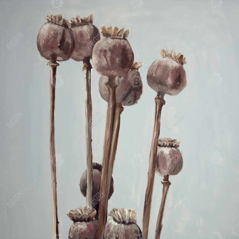 " Sepia Poppy Head Plants "