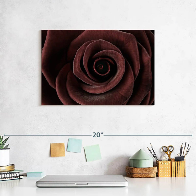 Dark Rose, 8" H x 12" W