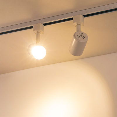 Têtes d'éclairage à DEL à intensité variable compatibles avec un projecteur de plafond à rail H de type circuit unique pour une exposition d'art mural décorative