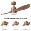 Ventilateur de plafond à DEL standard 42 po avec télécommande et ensemble d'éclairage inclus Jaclyn-1131584493