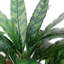 Artificial Foliage Plant in Pot Liner-124076063