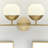 Avoca 4 - Light Dimmable Vanity Light-1893437715