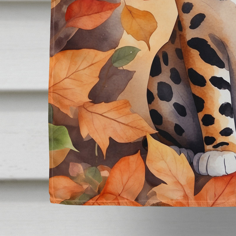 Chat en feuilles d'automne, Bengale