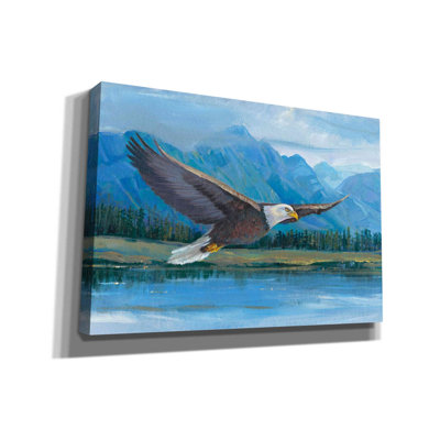 Eagle Soaring " Eagle Soaring " Painting