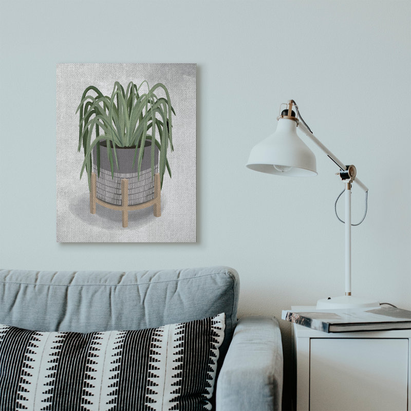 «Amical Spider Plant Grey Green» par House Fenway - impression d'art graphique, H 30 po x l 24 po x P 1,5 po, Toile tendue