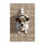  Tapis lavable Fox Terrier pour chien-223716279