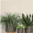 5" Planter W/ Wood Stand, Matte Gray-1513874852