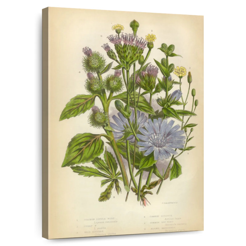 Harnek plantes à fleurs victoriennes, H 39 po x l 26 po