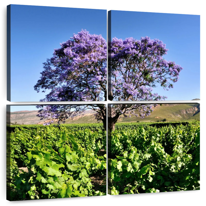 Harnek Jacaranda Tree