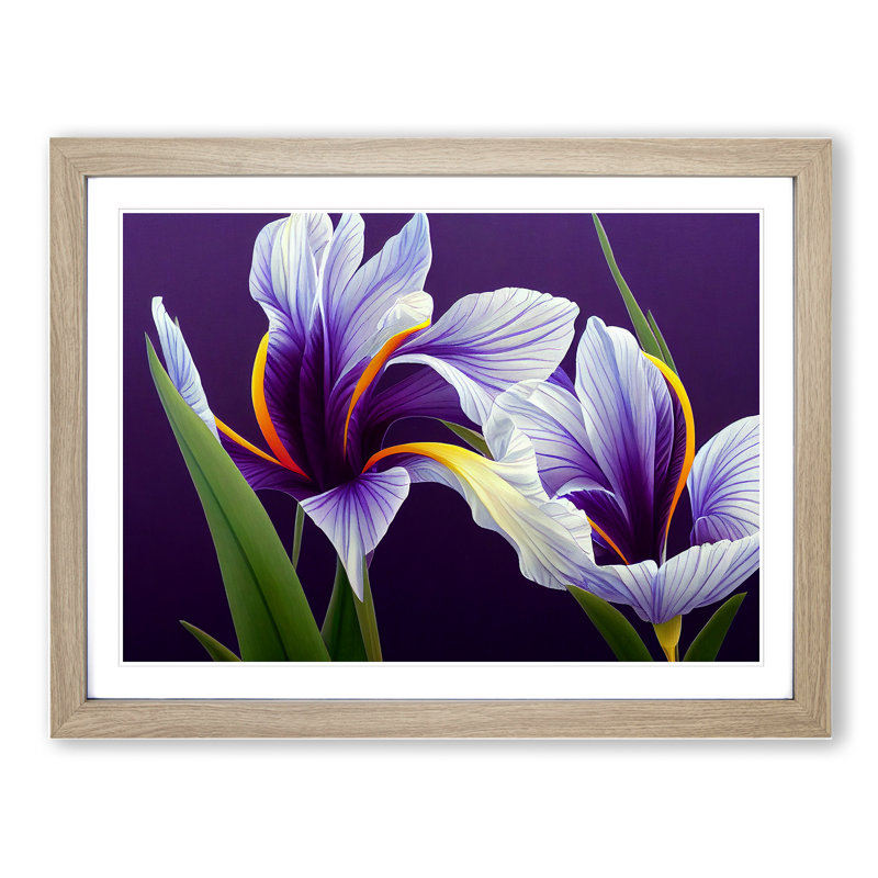 Enigmatic Iris Flowers 1 Piece Single Picture Frame Wall Art, 46cm H x 64cm W x 2cm D, Oak Framed