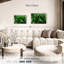 Palmier forêt-2126854790-2126854784