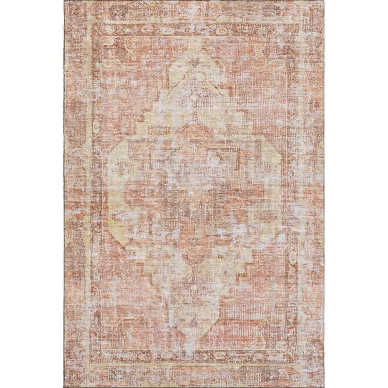 Premium Machine Washable Lucchesi AMF1729 Global Rug, Rectangle 10' x 14'