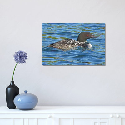" Common Loon " by Brian Wolf