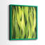 «Blades of Grass I», reproduction encadrée de qualité supérieure - prête à être accrochée - aucun clou requis - aucun clou requis-922319300-922319297