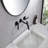 Widespread 2-Handle Bathroom Faucet
