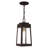 Antionetta Outdoor Hanging Lantern-448062610