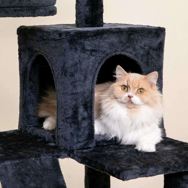 Grand condo 64 "pour chat, Gris foncé, H 70,1 po x l 21,7 po x P 21,7 po