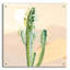 «Desert Greenhouse 2» par Danhui Nai, art mural en verre acrylique-568705367