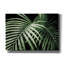  «Palm Fronds Green» par Debra Van Swearingen, art mural sur toile, 26 po x 18 po-549688492