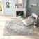 Oriental Area Rug