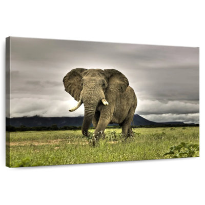 Paysage d'éléphants Brampt