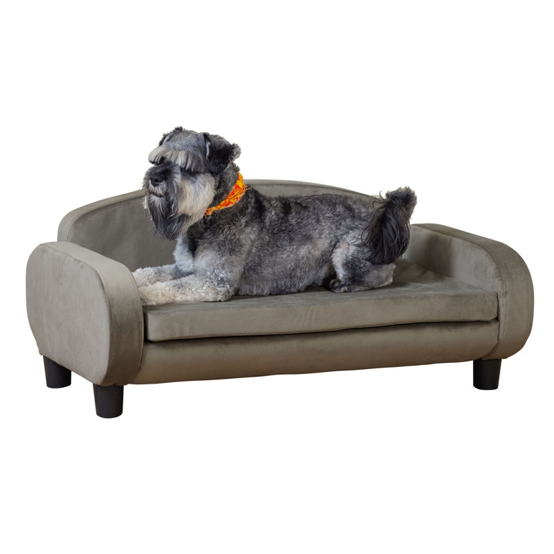 Canapé pour chien Hymel, Frêne Arabella, Moyen (l 35,5 po x P 21,5 po x H 16 po)
