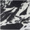 Valiant 30x30 Matte Marble Look Porcelain Tile