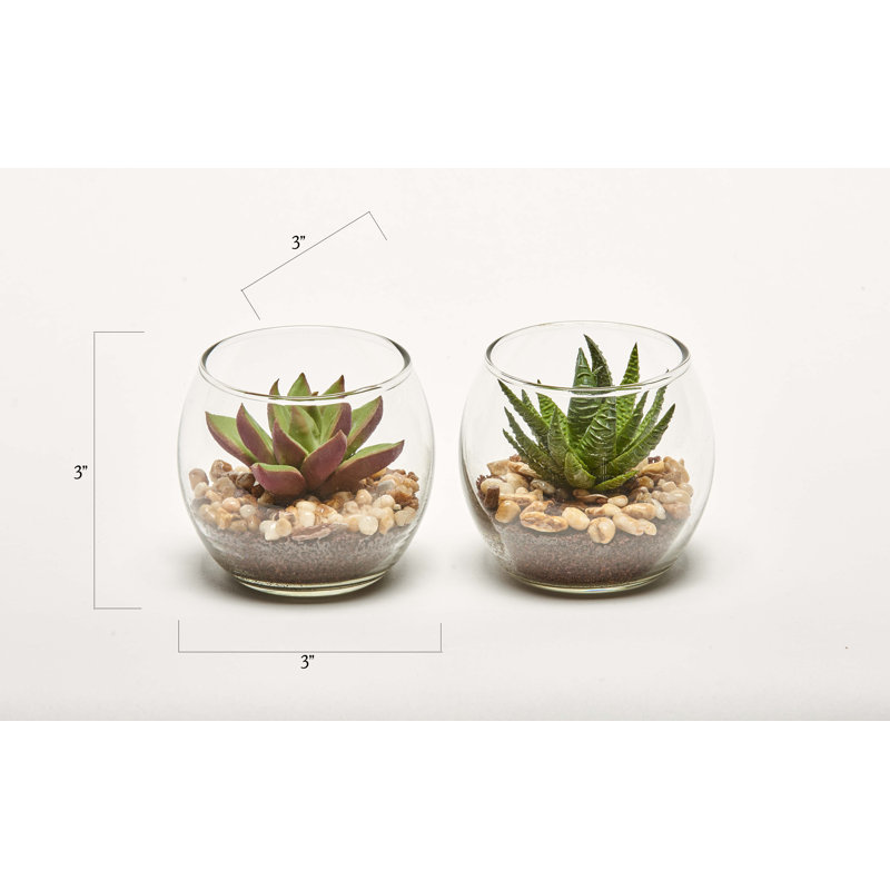 3'' Faux Aloe Plant in Glass Pot