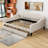 Chantavia Full Upholstered Daybed with 2 Drawers