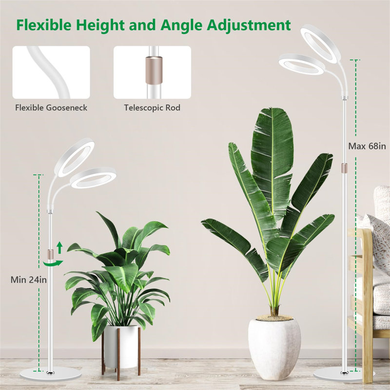 Naomi Grow Light