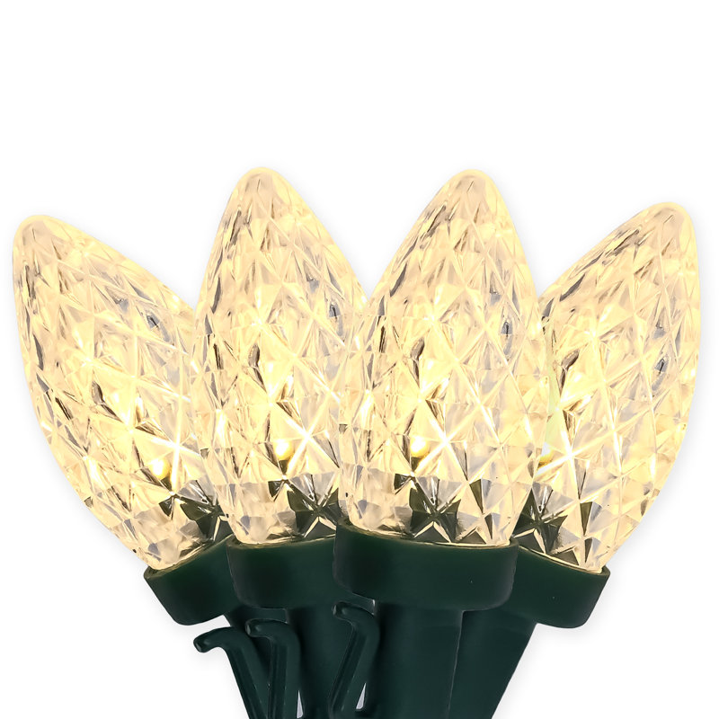 Guirlande de 100 lumières DEL Burnestown Pacific Accents C7, Blanc chaud