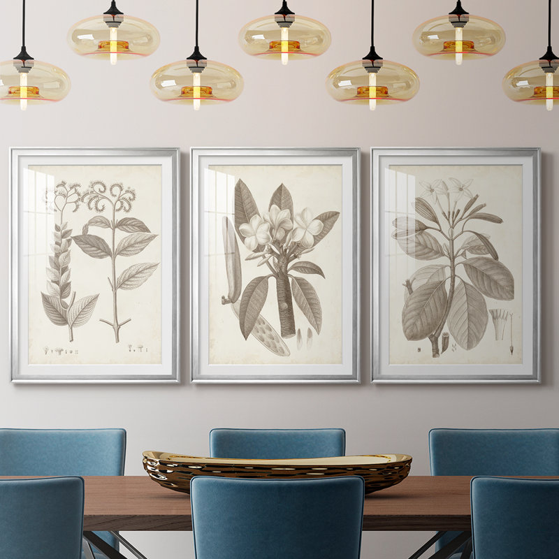 Antique sépia botanicals VI - reproduction encadrée sur mesure de qualité supérieure - 3 pièces, H 27 po x l 39 po